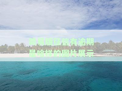 简版征信逾期会全部显示吗，全面解答：简版征信逾期是否会全部显示？