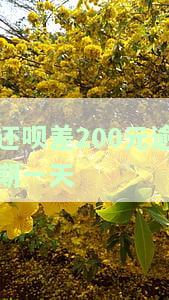 还呗逾期一天会有什么后果,有奖问答，你的还呗逾期一天，你将会失去什么？——有奖问答！
