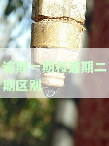 逾期一期和逾期二期有何区别？期限、影响及处理方式全解析