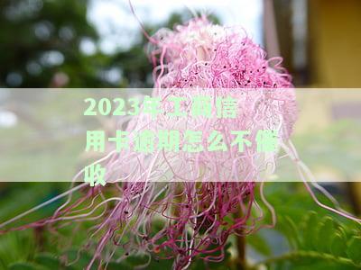 2023年工商信用卡逾期怎么不催收