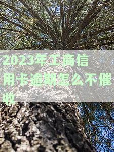 有工商信用卡逾期的吗？2021年新政策及处理方法