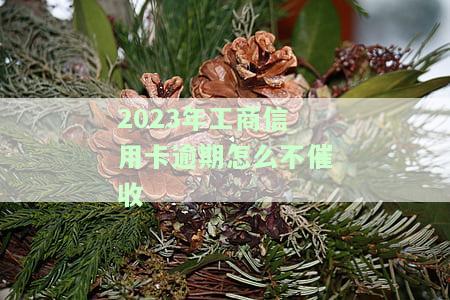 工商银行的信用卡几天未预期还款即算逾期，若失效需及时处理；信用卡到期应尽快更换，申请时间通常为1-2周。