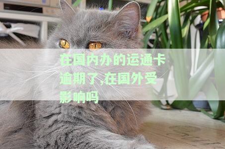 运通卡在国内能用吗？全境可用，哪些地方可刷？如何办理？国外使用体验如何？