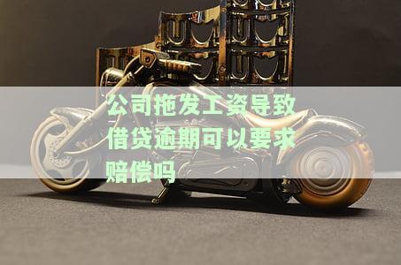 公司拖发放工资导致借贷逾期，是否可以要求赔偿？合法性如何？