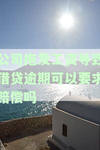 公司拖发工资导致借贷逾期，能索赔吗？如何处理？