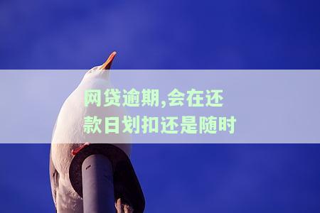 网贷逾期扣款是随时的吗？如何防止自动扣款及处理逾期问题