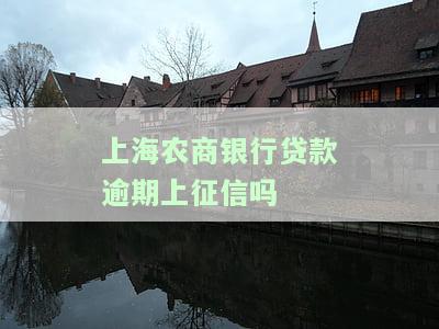 上海农商银行贷款对征信的要求，了解上海农商银行贷款的征信要求