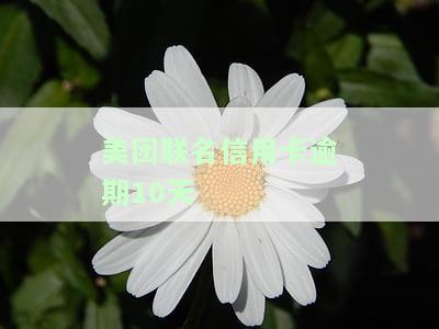 美团联名信用卡逾期10天-美团联名信用卡逾期10天会怎样