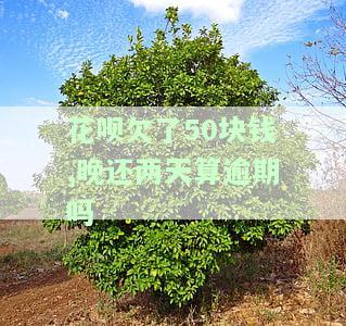 花呗欠50元，晚还2天算逾期？原因解析与解决办法