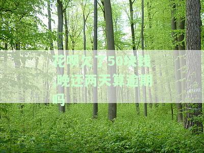 花呗欠50元逾期长时间没钱还会怎么样，长时间逾期未还，花呗欠款50元会带来什么后果？