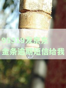 京东金条逾期5天收到法律文件短信，京东金条用户逾期5天，收到法律文件短信提醒