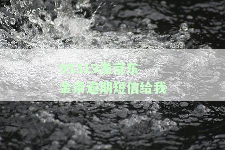 95319发京东金条逾期短信给我