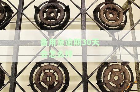 备用金逾期30天会怎么样