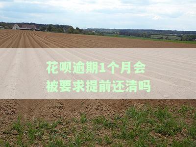 花呗逾期1个月会被要求提前还清吗？如何处理及恢复使用资格