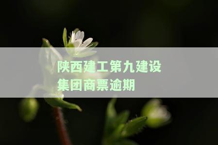 陕西建工第九建设集团地址，陕西建工第九建设集团的详细地址信息