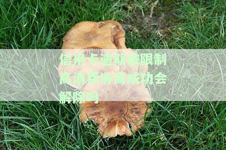 信用卡逾期被限制高消费协商成功会解除吗