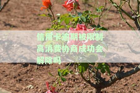 信用卡逾期被限制高消费协商成功会解除吗