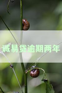 诚易贷逾期一天：是否会上征信、收费及需要一次性结清？逾期两天会怎样？对再次借款有影响吗？