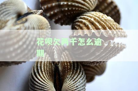 花呗欠两千逾期三个月会有什么后果？