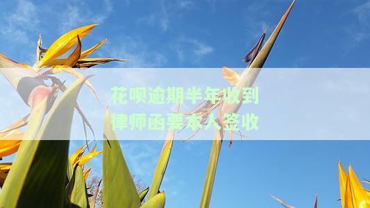 花呗逾期收到律师函：如何应对与诉讼风险？
