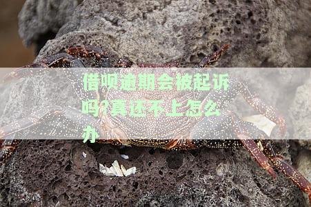 花呗借呗逾期会被起诉吗？真还不上怎么办？过来人分享法院判决及后果！