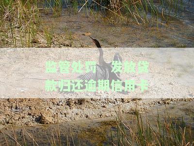 银行贷款监管期严重逾期：处理方法、影响及期限解释