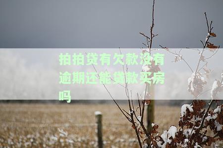 拍拍贷没有逾期是否会影响房贷审核？已有欠款未逾期能否申请房贷？未上征信的拍拍贷贷款对房贷有影响吗？有未还完的拍拍贷贷款会否影响房贷审批？为何已无逾期记录却无法在拍拍贷借款？