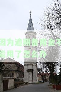 因为逾期备用金不能用了怎么办理，解决逾期备用金无法使用问题的方法