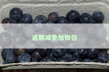 逾期减免加微信-逾期减免加微信是真的吗
