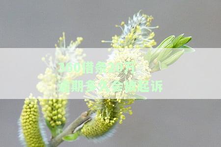 20万逾期多久会被起诉？还不起如何处理？可分几期还款？