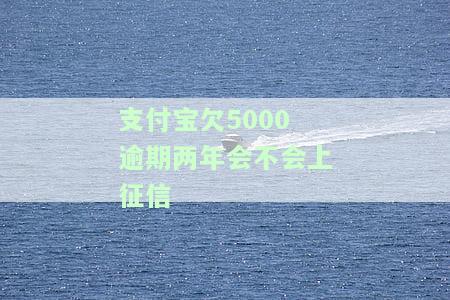 支付宝欠5000逾期两年会否上征信？逾期一年是否会坐牢？逾期多久会上报给个人征信？逾期一年多会有何影响？