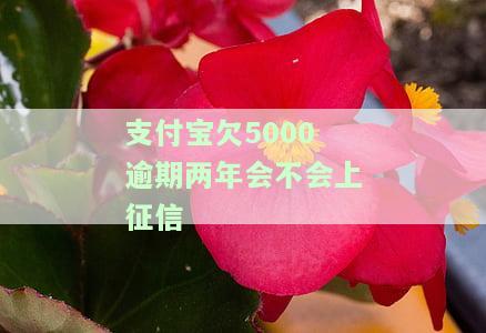 支付宝欠5000逾期两年是否会影响征信？逾期一年以上是否会坐牢？逾期多长时间会被记录在个人信用报告中？