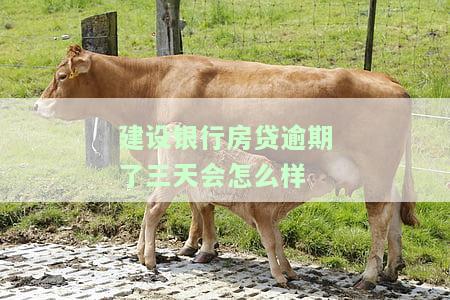 建设银行房贷还款逾期三天存上会自动扣吗，建设银行房贷还款：逾期三天是否会自动扣款？