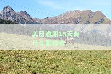 美团逾期15天有什么影响嘛