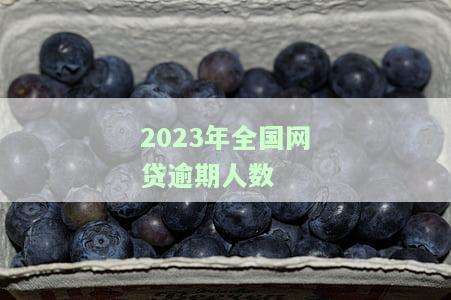 我国网贷逾期人数：2021年逾X千万，2020年为Y万人