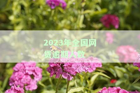 2023年全国网贷逾期人数
