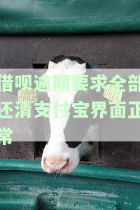 支付宝借呗逾期要求全额还款，支付宝借呗逾期，需尽快全额还款！