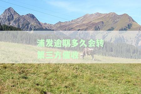 浦发逾期多久会转第三方催收-浦发逾期多久会转第三方催收公司