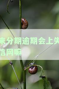 来分期逾期会对其他贷款产生影响吗？包括额度、记录、借款人以及信用卡使用，甚至可能影响征信。