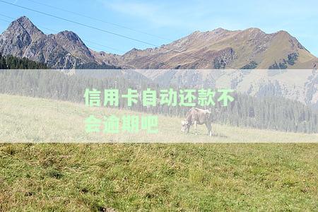为什么信用卡自动还款会逾期？原因解析