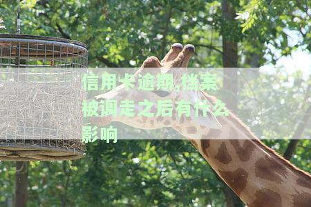 信用卡逾期,档案被调走之后有什么影响嘛，信用卡逾期导致档案调动，会产生哪些影响？