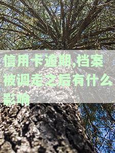 曾经有信用卡逾期记录会影响房贷吗？解决方案与建议