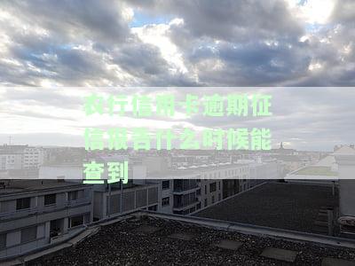 农行逾期几天会纳入个人征信记录？