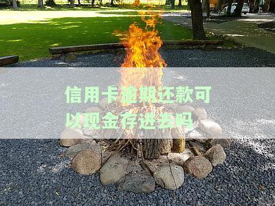 信用卡逾期还款：可以用现金存入吗？安全吗？能刷卡出来吗？只还本金行不行？