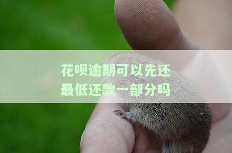 花呗逾期还了最低款后能否继续使用？影响及解决方法