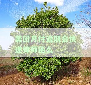 美团月付逾期会快递律师函么吗，美团月付逾期是否真的会收到快递律师函？真相揭晓！