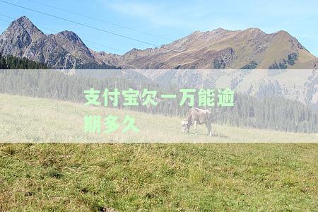 支付宝欠一万多逾期会坐牢吗？该如何处理逾期欠款？