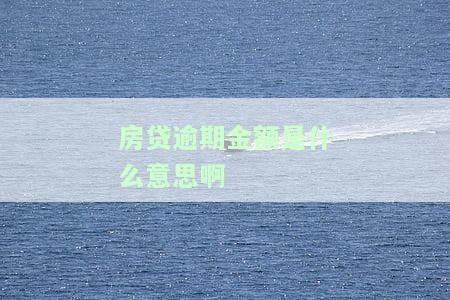 房贷逾期金额是什么意思啊-房贷逾期金额是什么意思啊怎么办