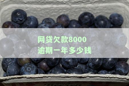 网贷欠款8000逾期一年多少钱起诉，逾期一年的8000元网贷未还，将面临多少起诉费用？