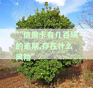 几百块信用卡逾期一个月会影响征信吗？